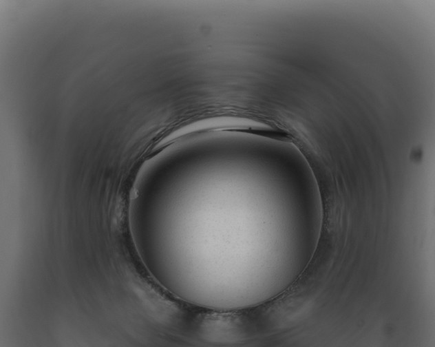 X0000089950077200707061129