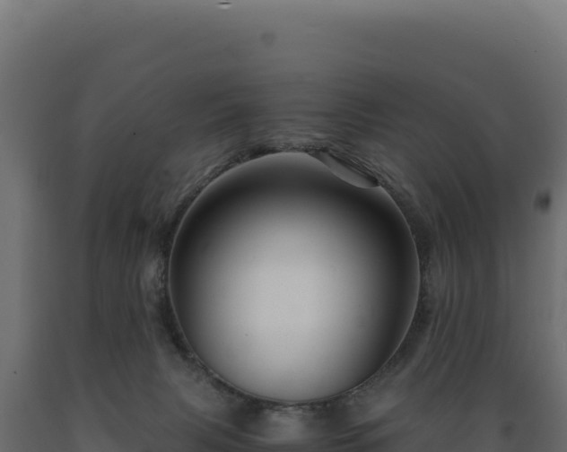 X0000089950079200707061129