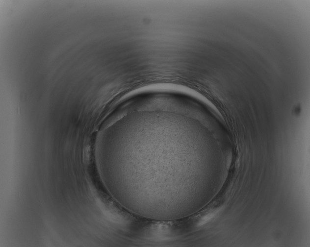 X0000089950080200707061129