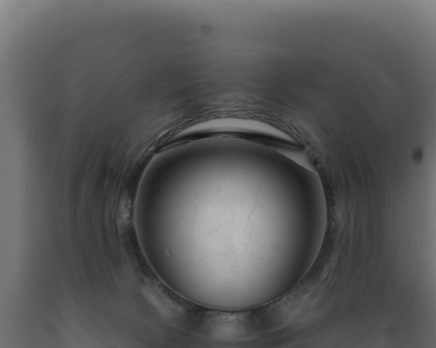 X0000089950081200707061129