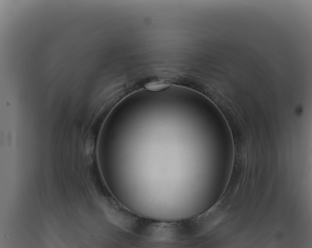 X0000089950082200707061129