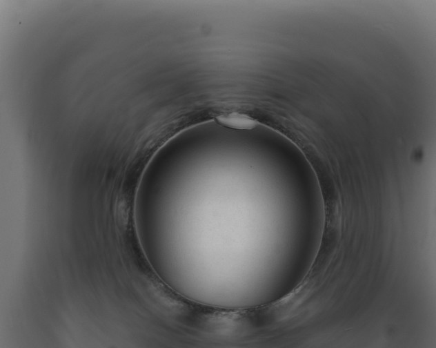 X0000089950086200707061129