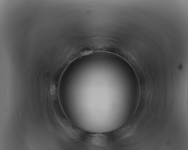 X0000089950087200707061129