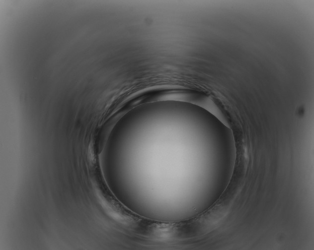 X0000089950088200707061129