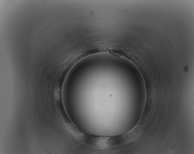 X0000089950090200707061129