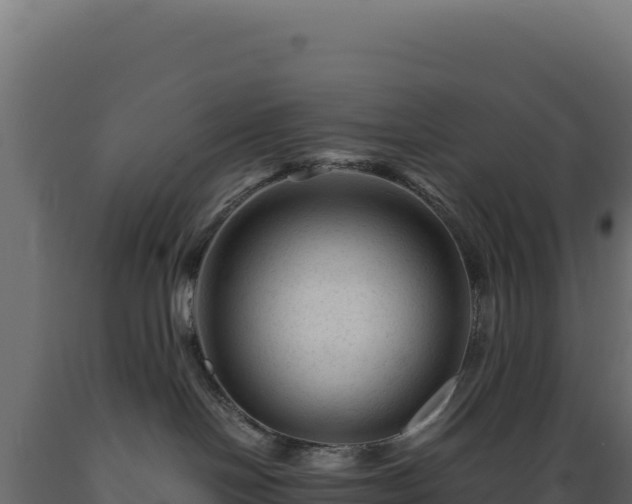 X0000089950094200707061129