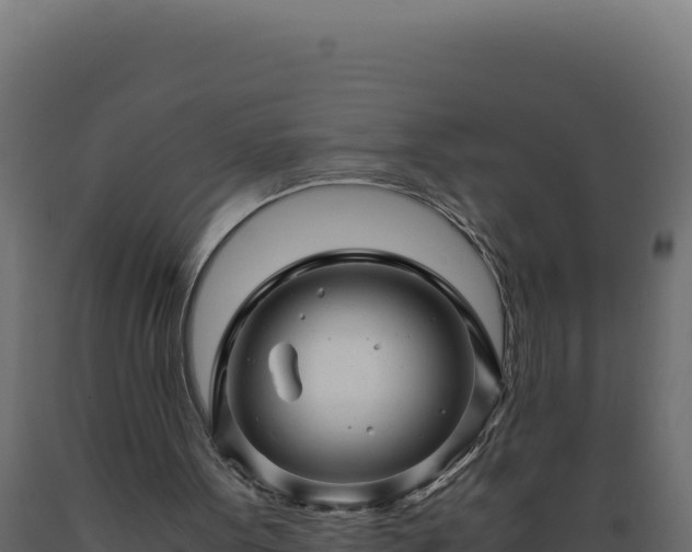 X0000089950099200707061128