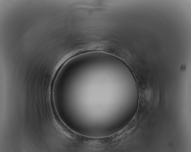 X0000089950100200707061128