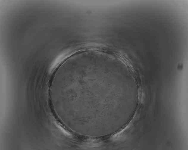 X0000089950101200707061128