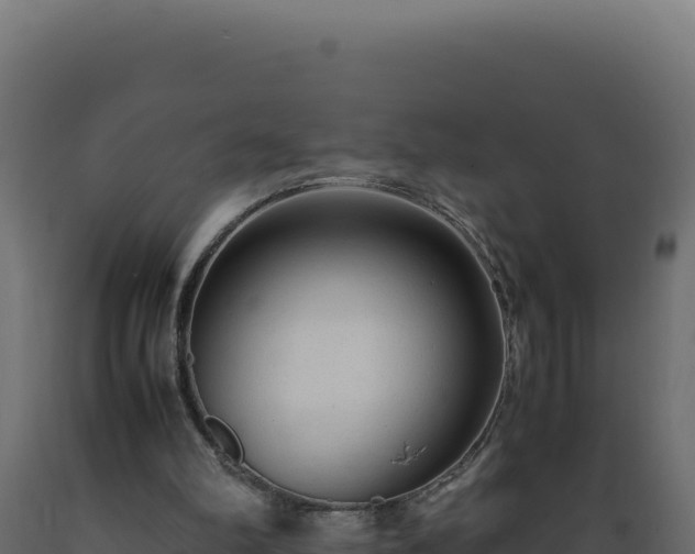 X0000089950102200707061128