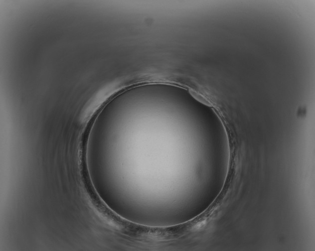X0000089950103200707061128