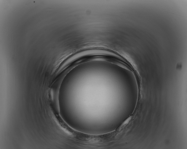 X0000089950105200707061128
