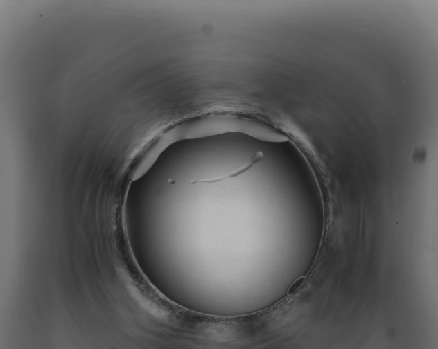 X0000089950106200707061128