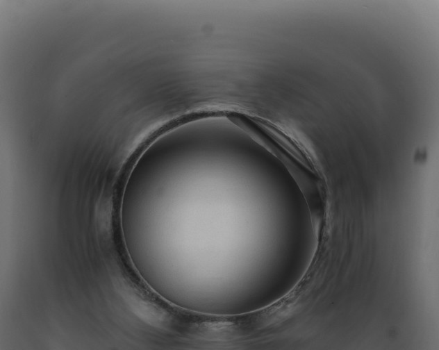 X0000089950108200707061128