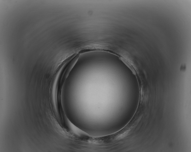 X0000089950109200707061128