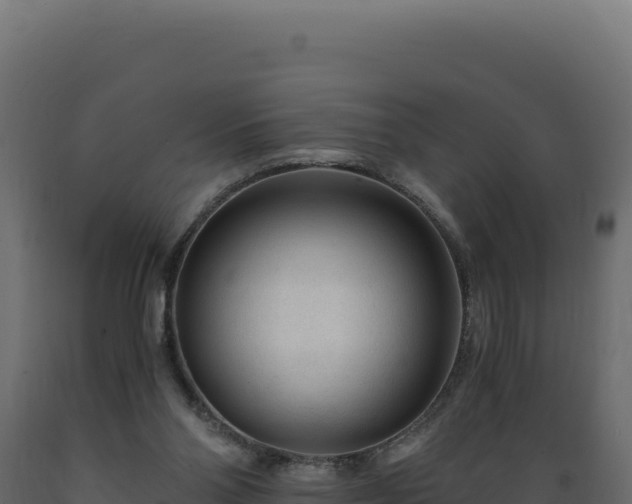 X0000089950110200707061128
