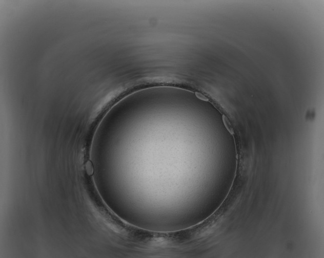 X0000089950111200707061128