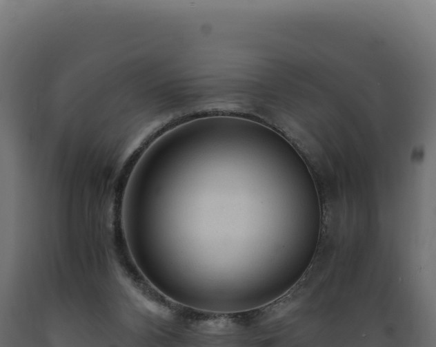 X0000089950112200707061128