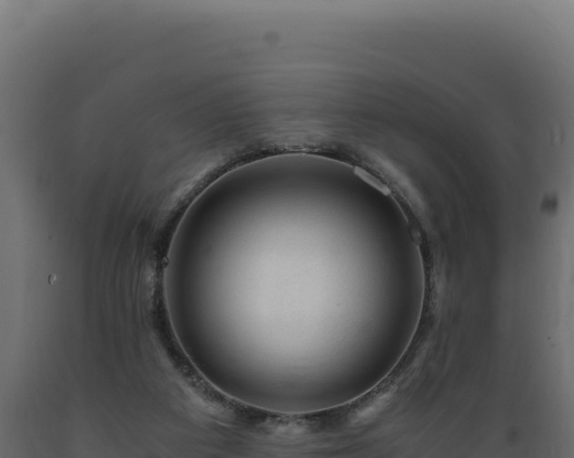 X0000089950113200707061128