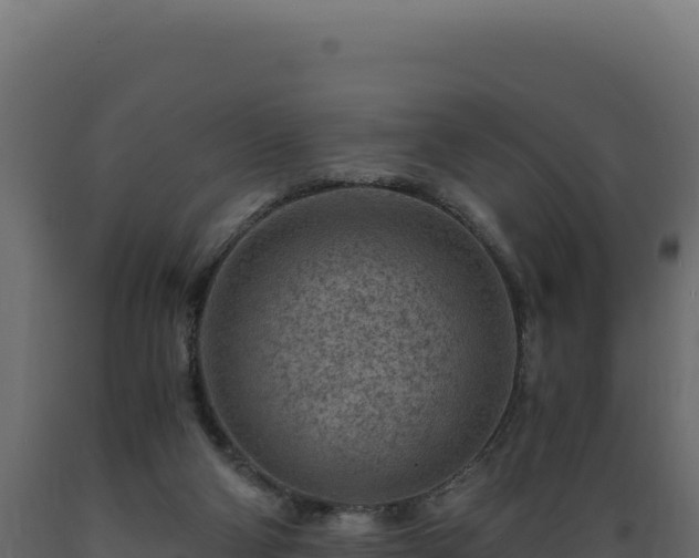 X0000089950114200707061128