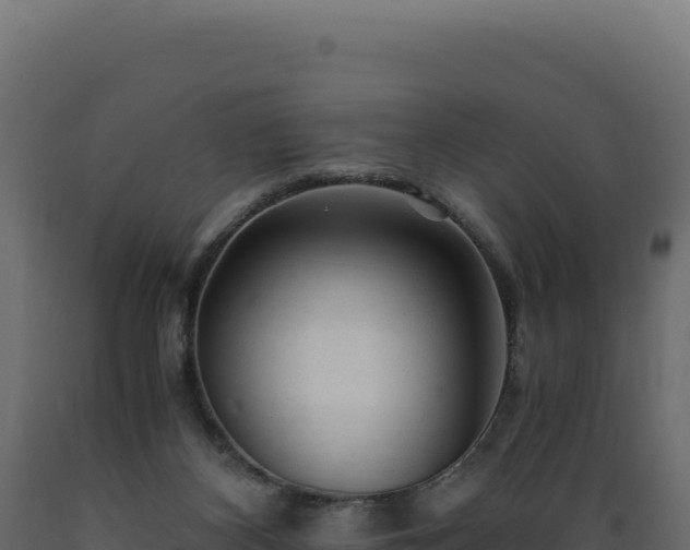 X0000089950116200707061128