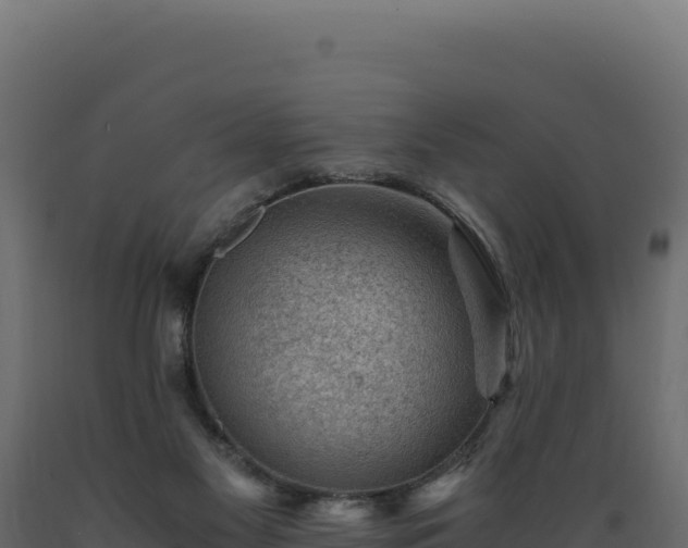 X0000089950117200707061128