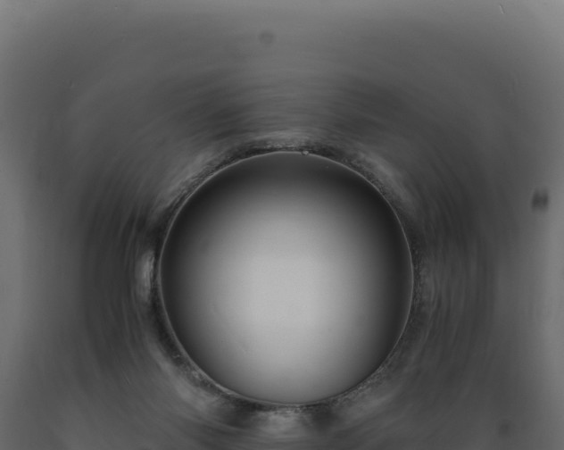 X0000089950118200707061128