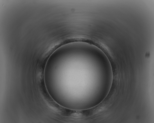 X0000089950119200707061128