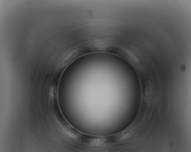 X0000089950122200707061128