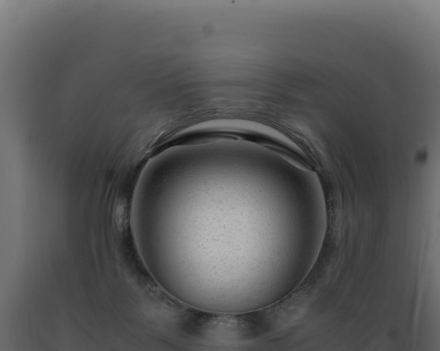 X0000089950123200707061128