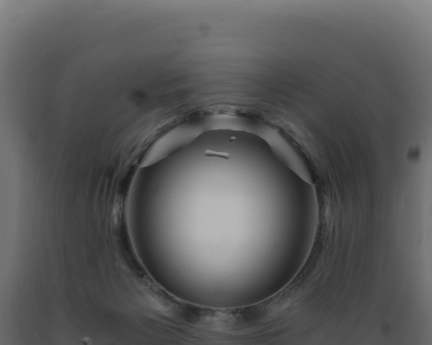 X0000089950125200707061128