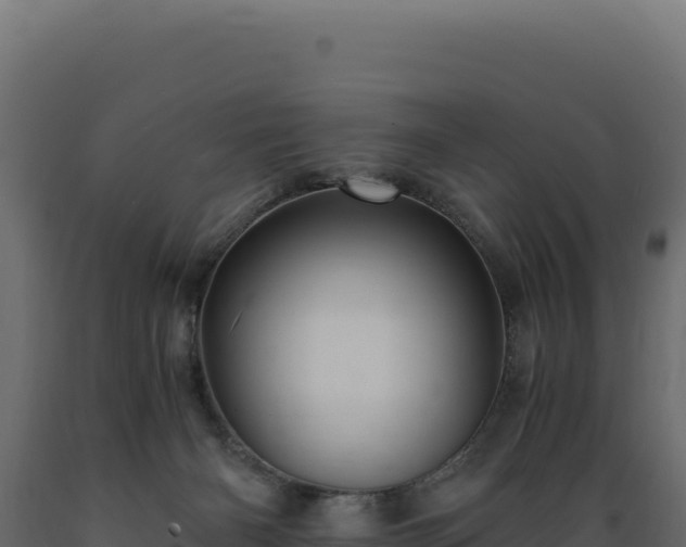 X0000089950126200707061128