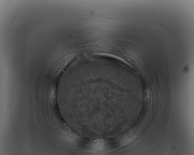 X0000089950127200707061128