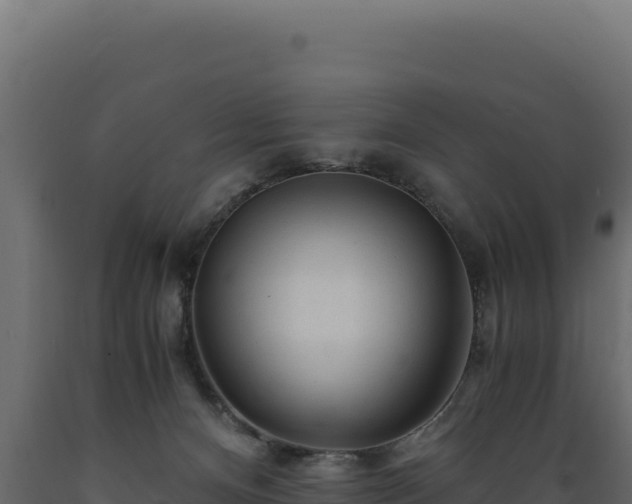 X0000089950128200707061128