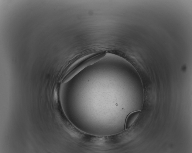X0000089950131200707061128