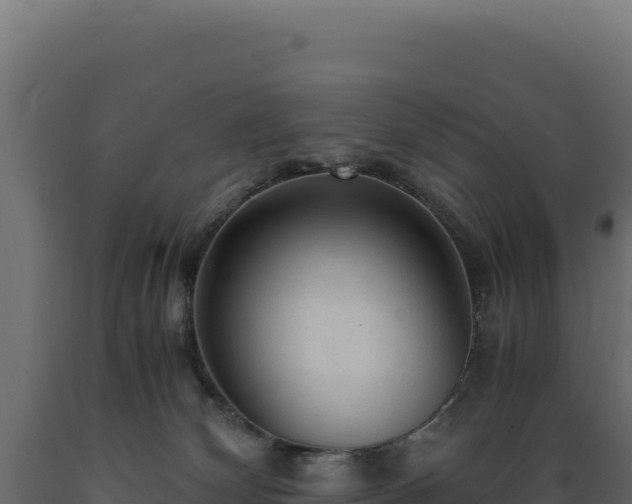 X0000089950132200707061128