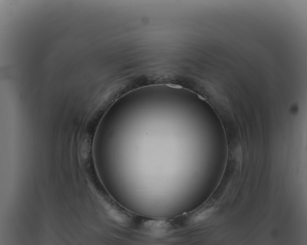 X0000089950133200707061128