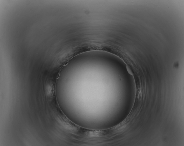 X0000089950134200707061128