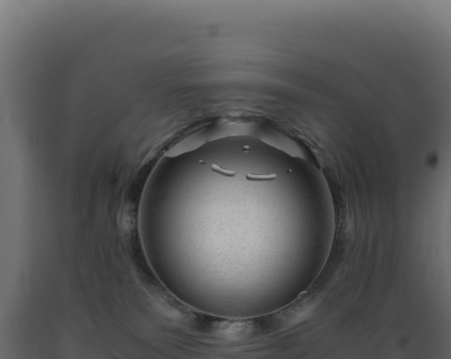 X0000089950135200707061128