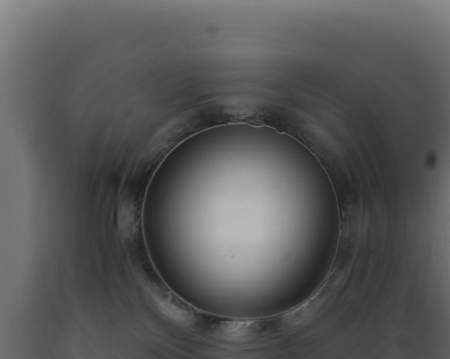 X0000089950136200707061128