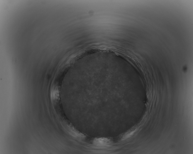 X0000089950137200707061128