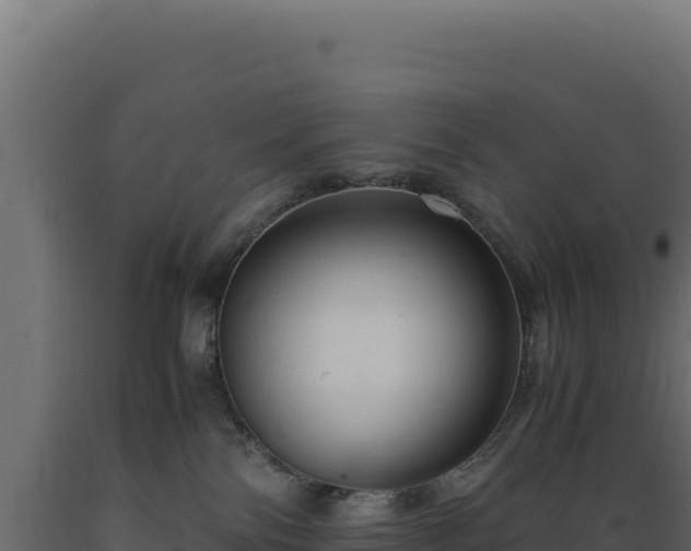 X0000089950138200707061128