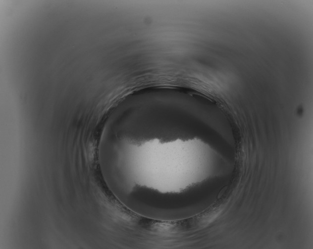 X0000089950139200707061128