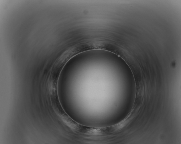 X0000089950140200707061128