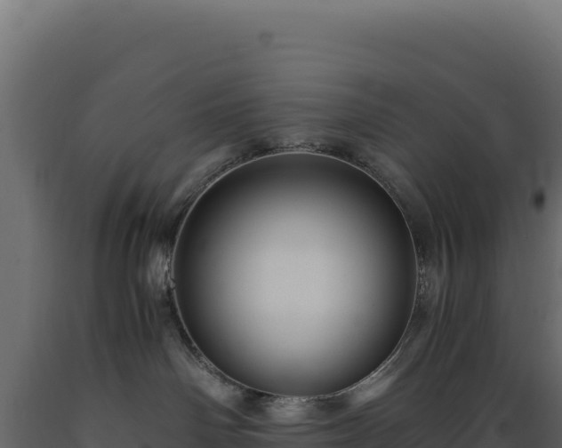 X0000089950142200707061128