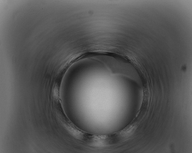 X0000089950143200707061128