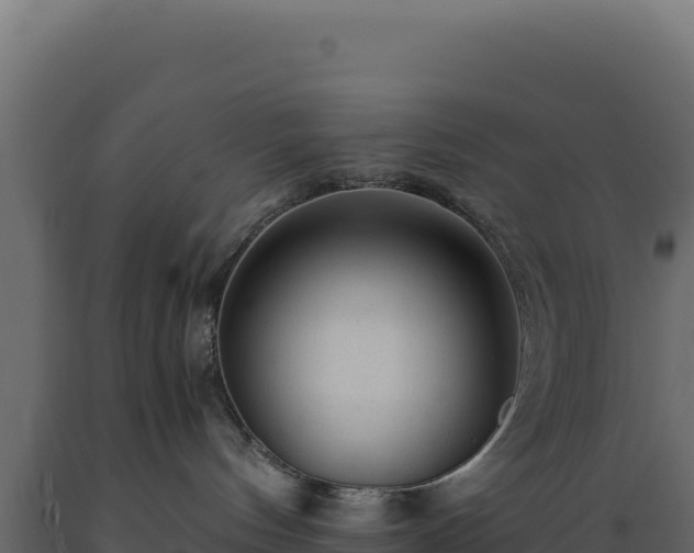X0000089950144200707061128