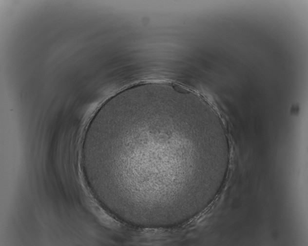 X0000089950145200707061127