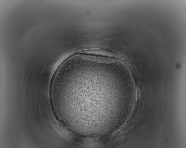 X0000089950147200707061127