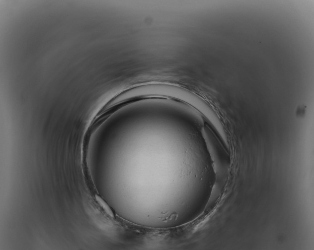 X0000089950148200707061127
